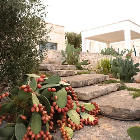 Villa Lamia Stellata *
