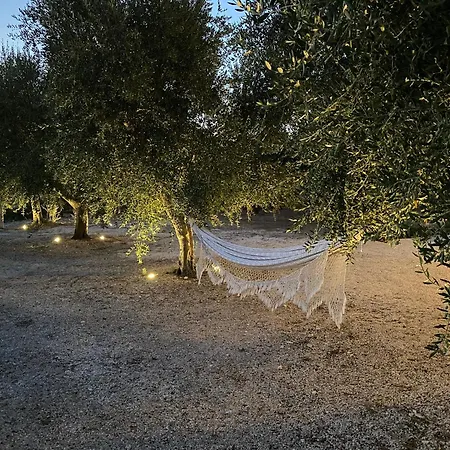 Villa Lamia Stellata
